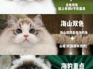 一个提供各种资源的色猫论坛，让你的生活更加丰富多彩