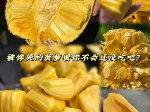 菠萝蜜免费入口 5：为什么你还在付费？如何找到免费入口？