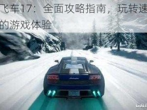 极品飞车17：全面攻略指南，玩转速度与激情的游戏体验