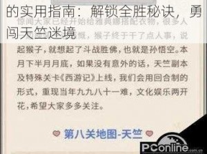 以最强蜗牛天竺通关攻略为主线的实用指南：解锁全胜秘诀，勇闯天竺迷境