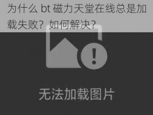 为什么 bt 磁力天堂在线总是加载失败？如何解决？