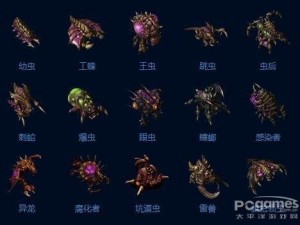 星际争霸2：虫族之心等级奖励全面解析与对照表展示