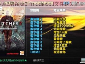 《巫师2增强版》fmodex.dll文件缺失解决方案详解》