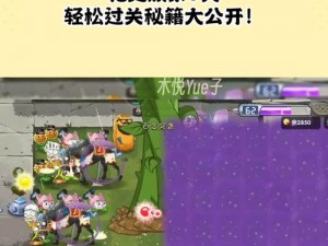 狂野西部挑战：植物大战僵尸2第九天二星攻略秘籍