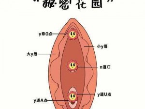 怎么亲小花园的技巧_如何亲吻小花园？这些技巧你需要知道