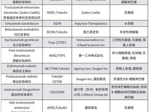 ADC年龄确认十八点此进入 如何正确进入 ADC 年龄确认十八点？