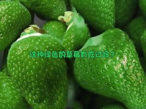 草莓榴莲向日葵18岁绿色精品—探索草莓榴莲向日葵 18 岁绿色精品的奇妙世界