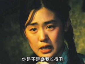 糙汉与少女;糙汉与少女：大漠边关的爱情传奇