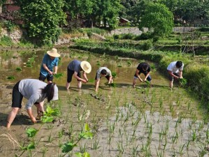 夫妻之间的100种插秧法-夫妻之间的 100 种插秧法：解锁新姿势，提升性生活质量