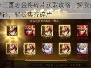 少年三国志金将碎片获取攻略：探索游戏内途径，轻松集齐碎片