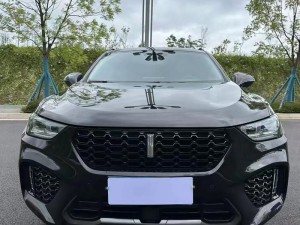 weyvv5 国产的 SUV 为何不再限制观看？如何解决？