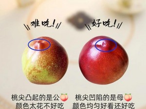 水蜜桃 2 为什么这么甜？如何挑选？怎样保存？