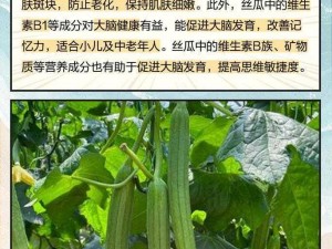 丝瓜榴莲秋葵榴莲WWW【如何评价丝瓜榴莲秋葵榴莲 WWW？】