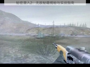 秘密潜入2：无敌秘籍揭秘与实战指南