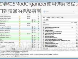 上古卷轴5ModOrganizer使用详解教程：从入门到精通的完整指南