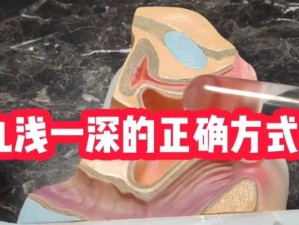 九浅一深(九浅一深的正确使用方法是怎样的？)