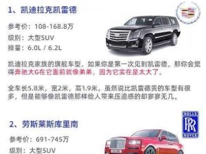 欧美无人区码 SUV 有哪些注意事项？