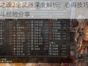 黑暗之魂2全武器深度解析：心得技巧与个人战斗经验分享