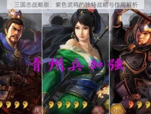 三国志战略版：紫色武将的独特战略与作用解析