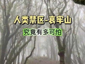 亚洲无人禁区、亚洲无人禁区究竟隐藏着怎样的秘密？