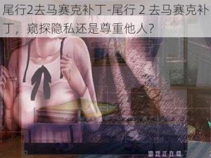 尾行2去马赛克补丁-尾行 2 去马赛克补丁，窥探隐私还是尊重他人？