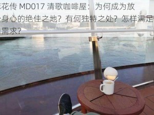 麻花传 MD017 清歌咖啡屋：为何成为放松身心的绝佳之地？有何独特之处？怎样满足不同需求？