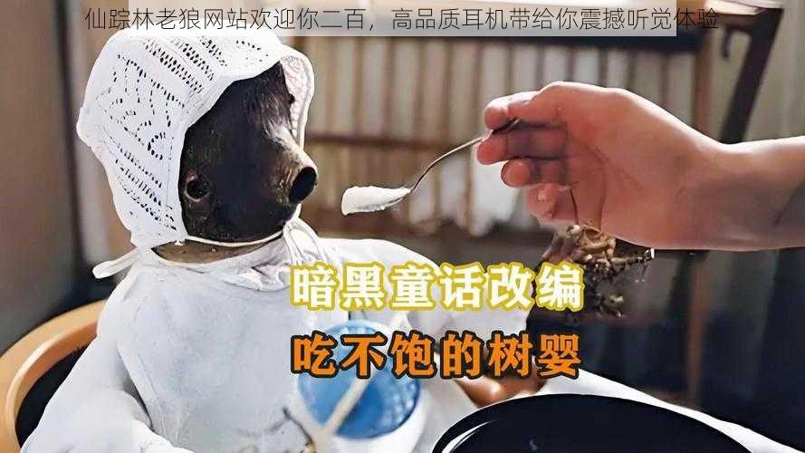 仙踪林老狼网站欢迎你二百，高品质耳机带给你震撼听觉体验