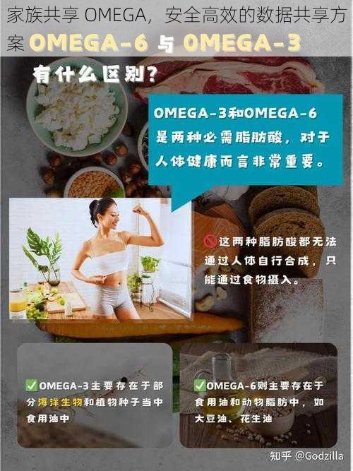 家族共享 OMEGA，安全高效的数据共享方案