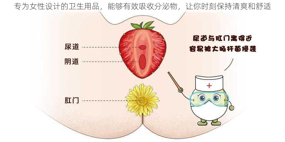 专为女性设计的卫生用品，能够有效吸收分泌物，让你时刻保持清爽和舒适