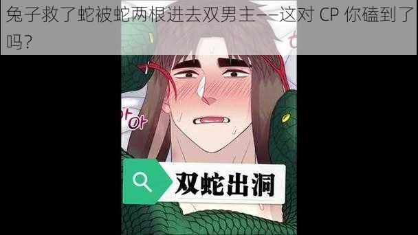 兔子救了蛇被蛇两根进去双男主——这对 CP 你磕到了吗？