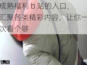 成熟福利 b 站的入口，汇聚各类精彩内容，让你一次看个够