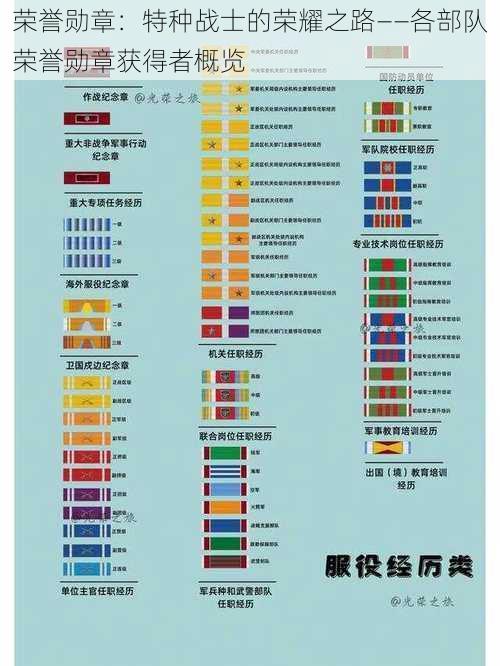 荣誉勋章：特种战士的荣耀之路——各部队荣誉勋章获得者概览