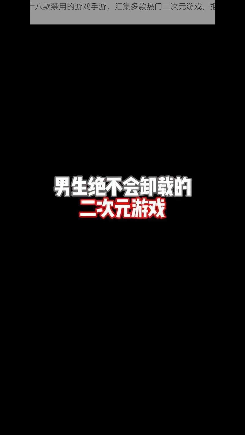 二次元十八款禁用的游戏手游，汇集多款热门二次元游戏，拒绝低俗内容