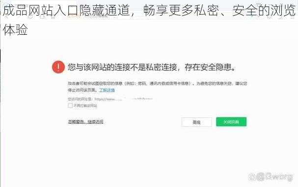 成品网站入口隐藏通道，畅享更多私密、安全的浏览体验