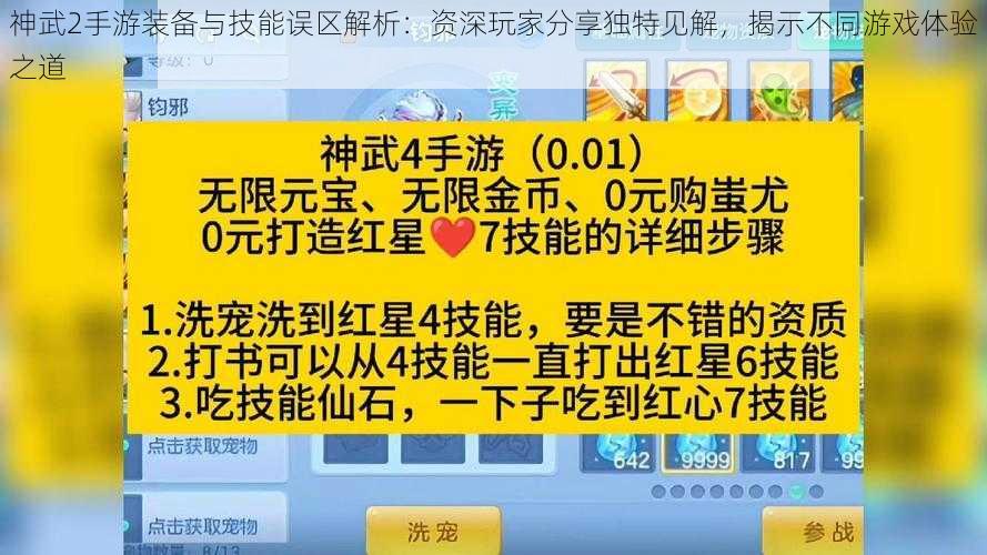 神武2手游装备与技能误区解析：资深玩家分享独特见解，揭示不同游戏体验之道