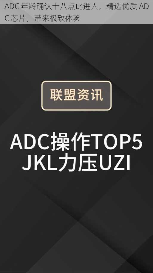 ADC 年龄确认十八点此进入，精选优质 ADC 芯片，带来极致体验