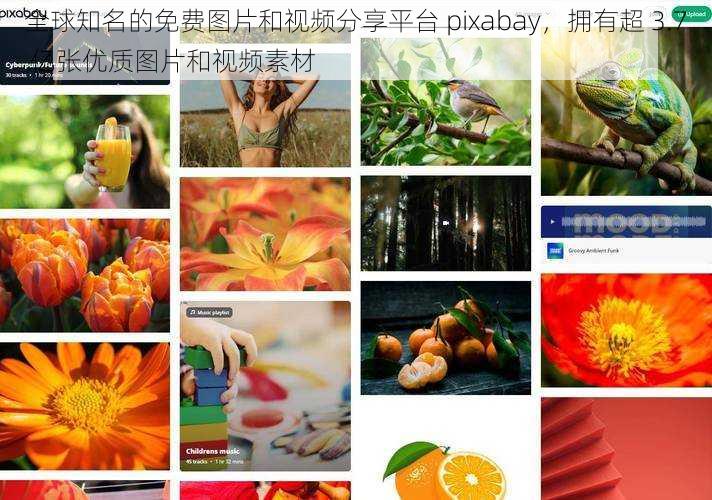 全球知名的免费图片和视频分享平台 pixabay，拥有超 3.7 亿张优质图片和视频素材