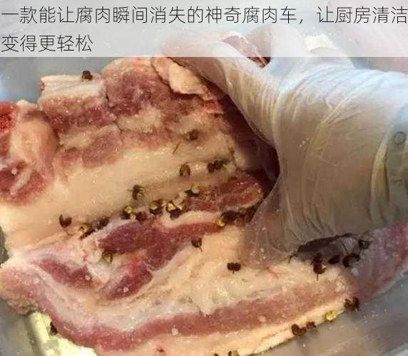 一款能让腐肉瞬间消失的神奇腐肉车，让厨房清洁变得更轻松