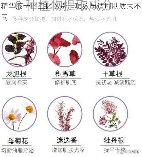 精华液一区二区区别：功效与适用肤质大不同