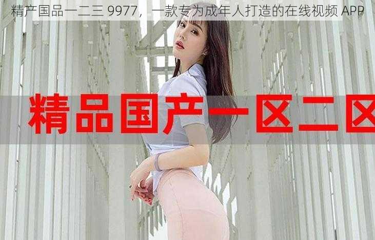 精产国品一二三 9977，一款专为成年人打造的在线视频 APP