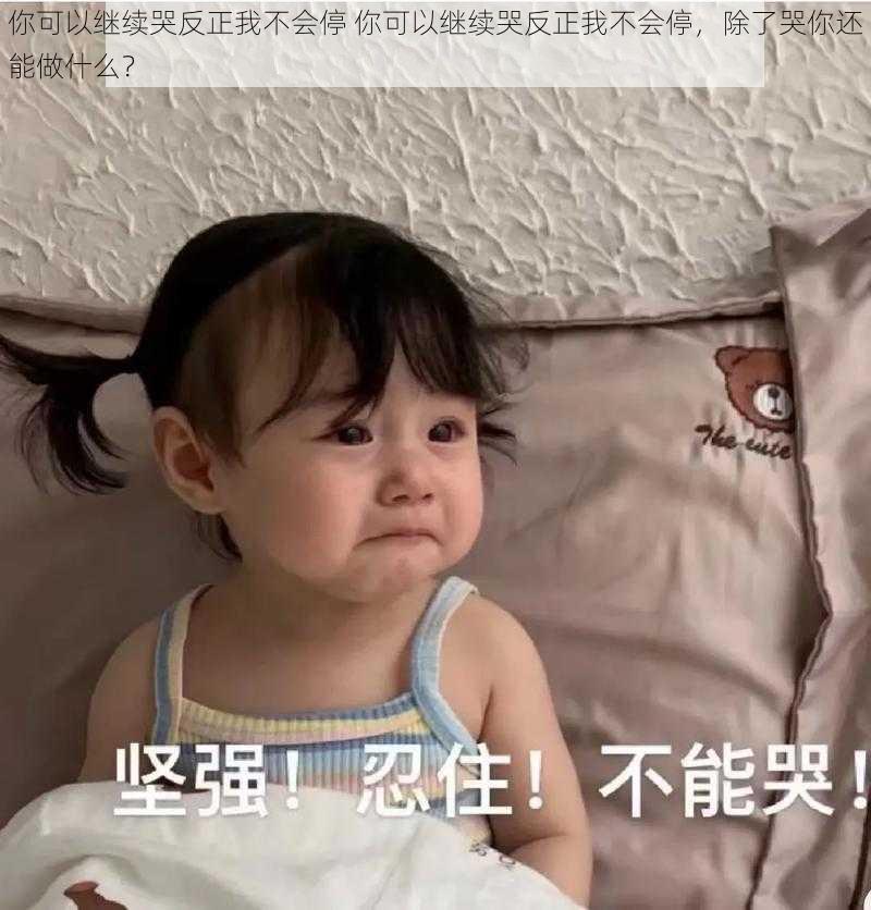 你可以继续哭反正我不会停 你可以继续哭反正我不会停，除了哭你还能做什么？