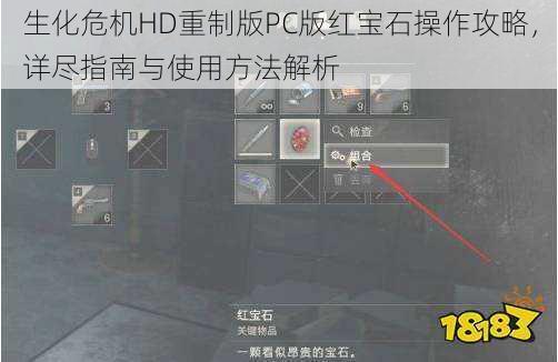 生化危机HD重制版PC版红宝石操作攻略，详尽指南与使用方法解析