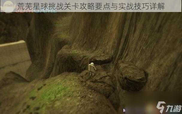 荒芜星球挑战关卡攻略要点与实战技巧详解