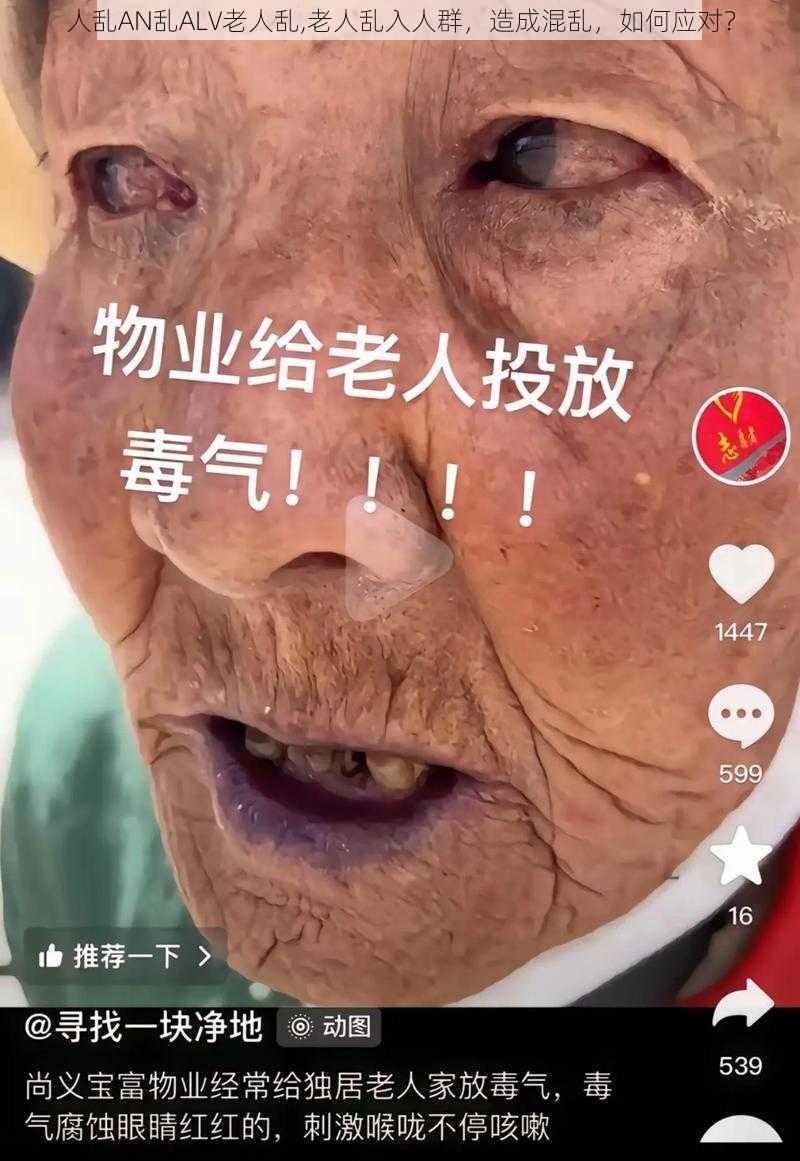 人乱AN乱ALV老人乱,老人乱入人群，造成混乱，如何应对？