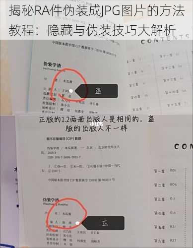 揭秘RA件伪装成JPG图片的方法教程：隐藏与伪装技巧大解析