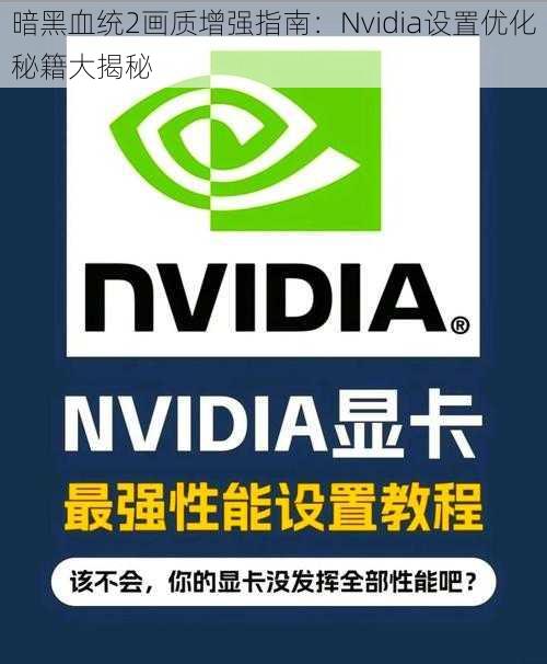 暗黑血统2画质增强指南：Nvidia设置优化秘籍大揭秘