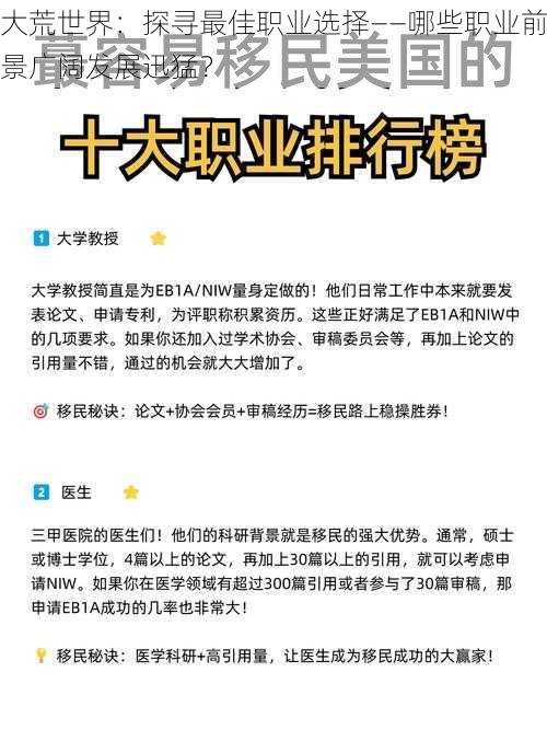 大荒世界：探寻最佳职业选择——哪些职业前景广阔发展迅猛？