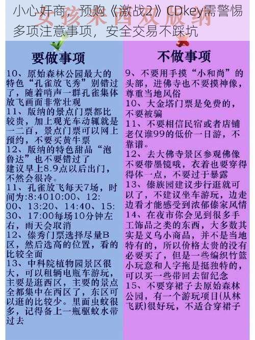 小心奸商，预购《激战2》CDkey需警惕多项注意事项，安全交易不踩坑