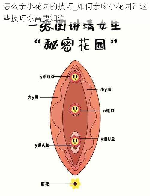 怎么亲小花园的技巧_如何亲吻小花园？这些技巧你需要知道