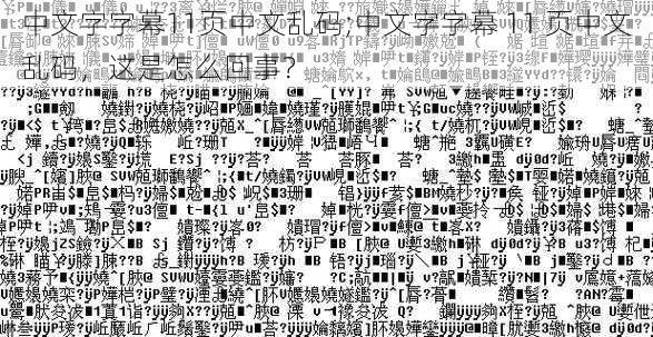 中文字字幕11页中文乱码;中文字字幕 11 页中文乱码，这是怎么回事？